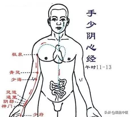 看故事快速记忆“十二经络及穴位”