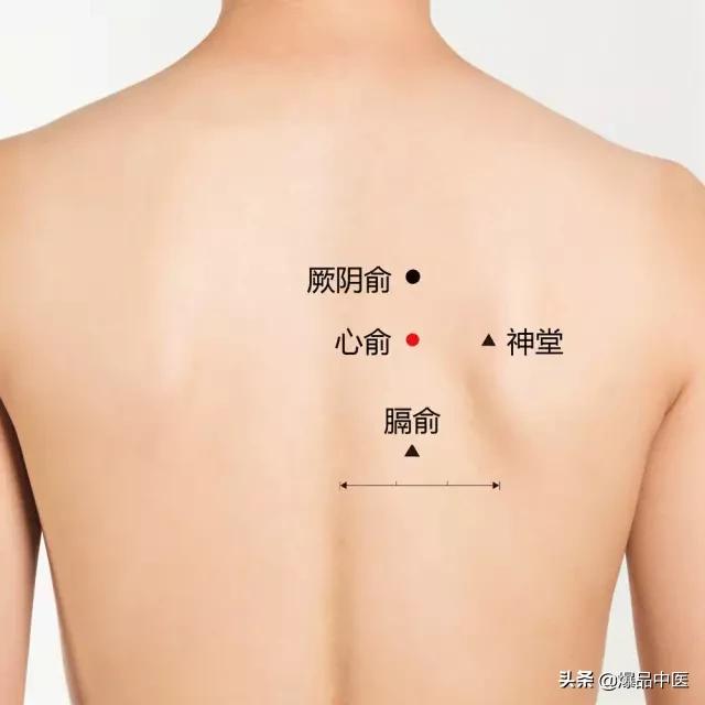 史上最全穴位合集，这张表已遭到万人疯抢