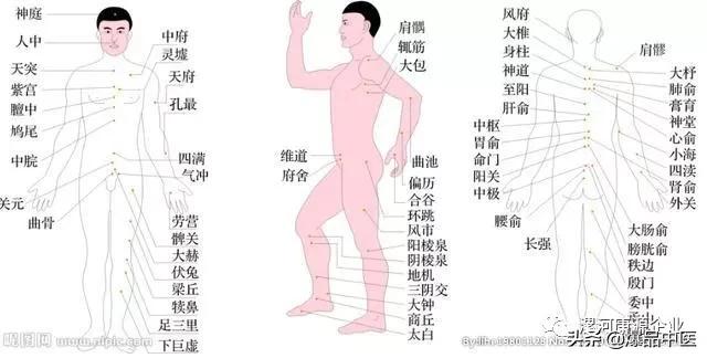 穴位的定位方法