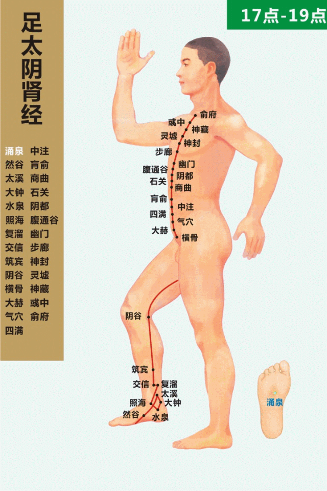十二经络走向动画图「价值连城」