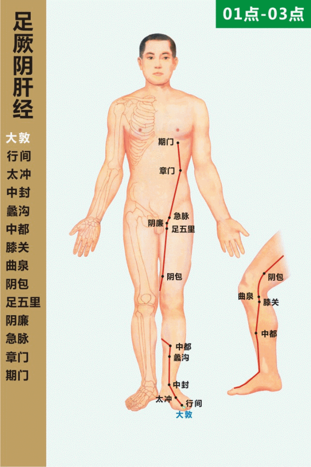 十二经络走向动画图「价值连城」