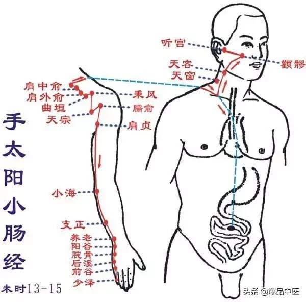 十二经络及原穴、络穴、输穴
