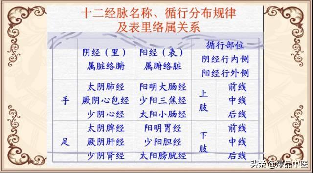 十二经络及原穴、络穴、输穴