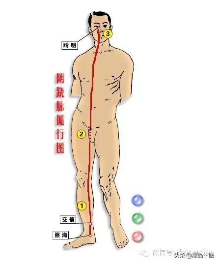 必须知道的奇经八脉循行、生理功能及八个代表性穴位