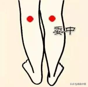 人体最大的排毒通道：通膀胱经方法集锦