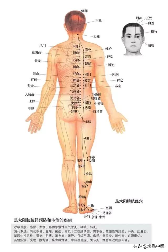 人体最大的排毒通道：通膀胱经方法集锦