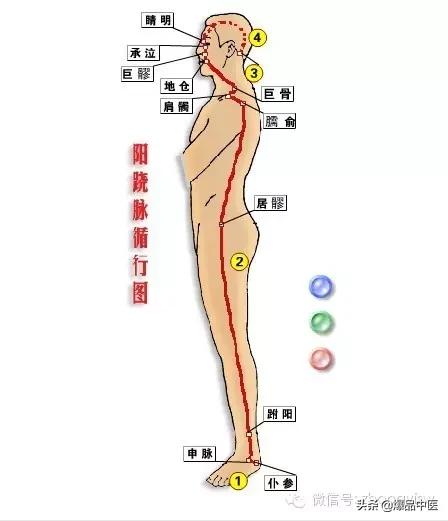 必须知道的奇经八脉循行、生理功能及八个代表性穴位