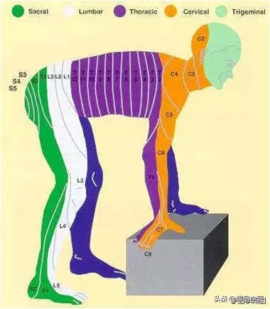 神经系统一天搞定，打破死板记忆方法