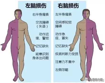 神经系统一天搞定，打破死板记忆方法