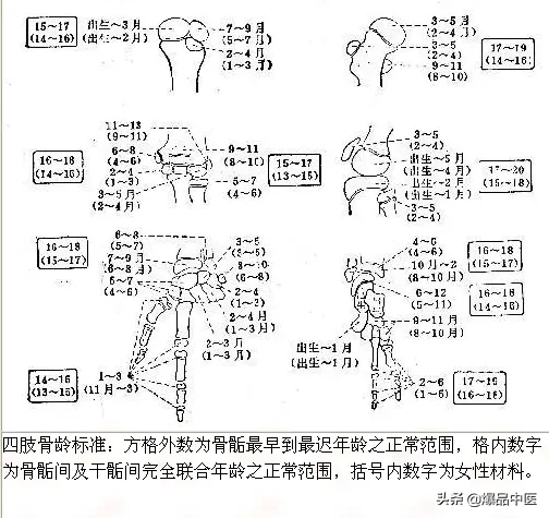 正常Ｘ线解剖