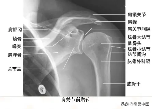 正常Ｘ线解剖