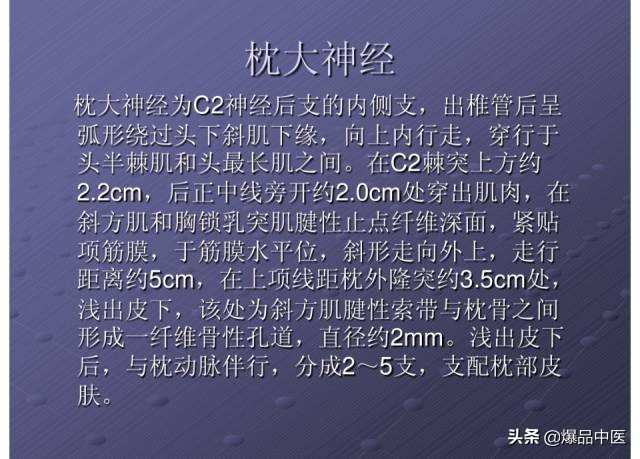 颈项部肌肉基础解剖——起止点及作用
