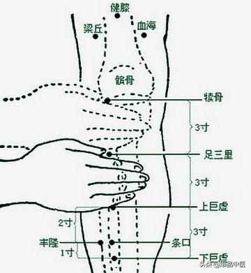 十二个穴道，几乎可以治疗全身所有的疾病