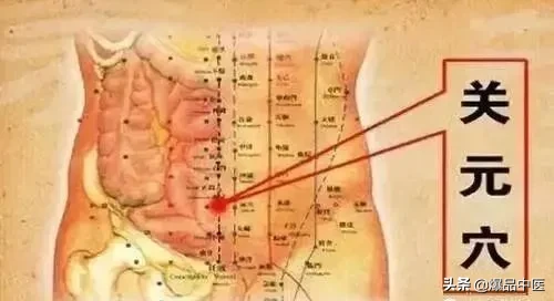 “十二针灸口诀”解析