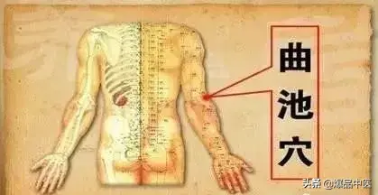 “十二针灸口诀”解析