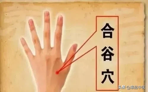 “十二针灸口诀”解析