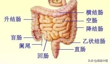 全息望诊大全