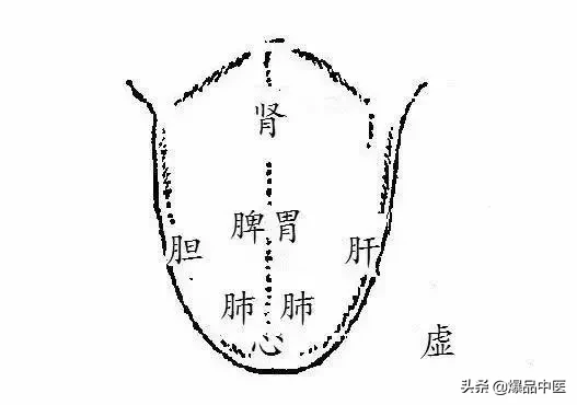 全息望诊大全