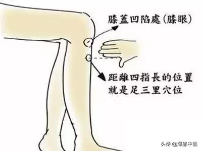 胃经大药房--胃经相关穴位详解:天天培育我们的后天之本