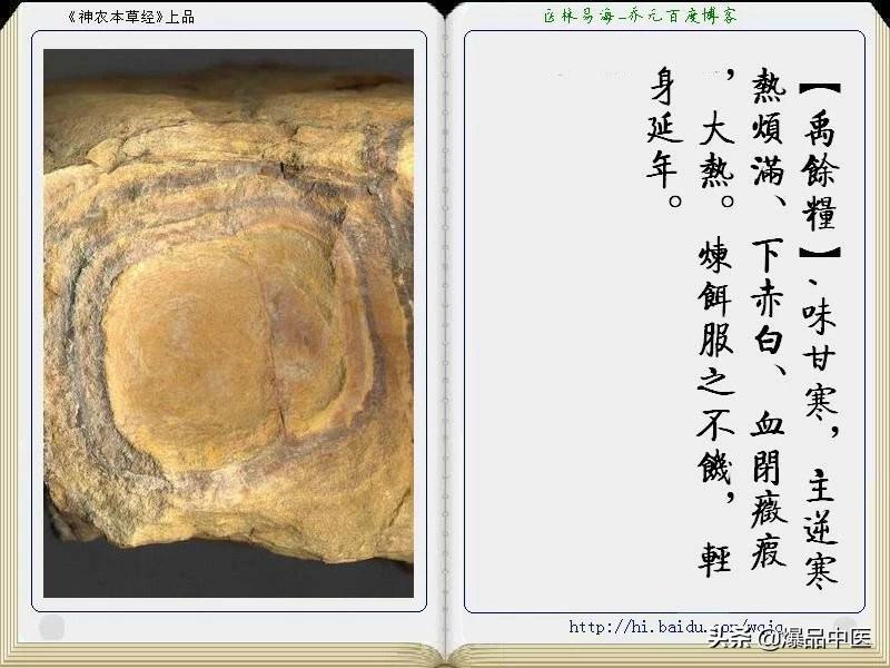 《神农本草经》全册图文解析
