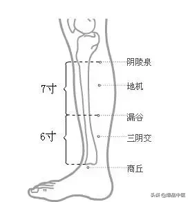 脾经大药房--详解脾经相关穴位,化掉任何慢性病(珍藏)