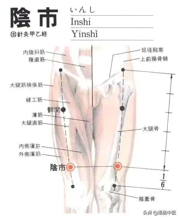 胃经大药房--胃经相关穴位详解：天天培育我们的后天之本