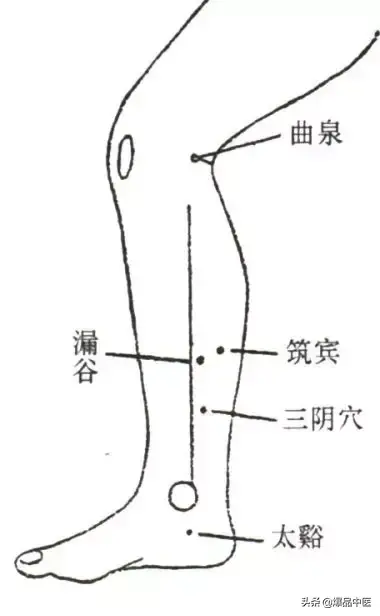 脾经大药房--详解脾经相关穴位,化掉任何慢性病(珍藏)