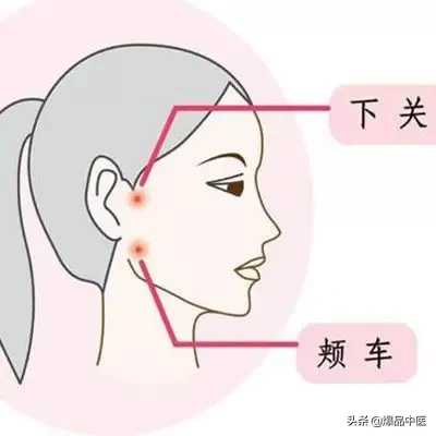 胃经大药房--胃经相关穴位详解:天天培育我们的后天之本