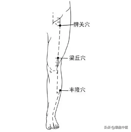 胃经大药房--胃经相关穴位详解：天天培育我们的后天之本