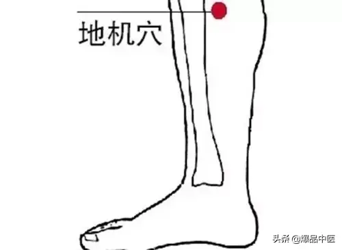 脾经大药房--详解脾经相关穴位,化掉任何慢性病(珍藏)