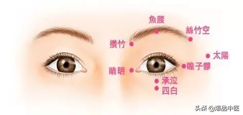 胃经大药房--胃经相关穴位详解:天天培育我们的后天之本
