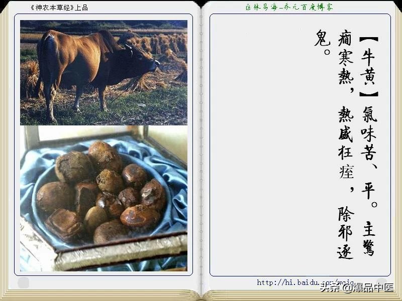 《神农本草经》全册图文解析