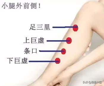 胃经大药房--胃经相关穴位详解:天天培育我们的后天之本