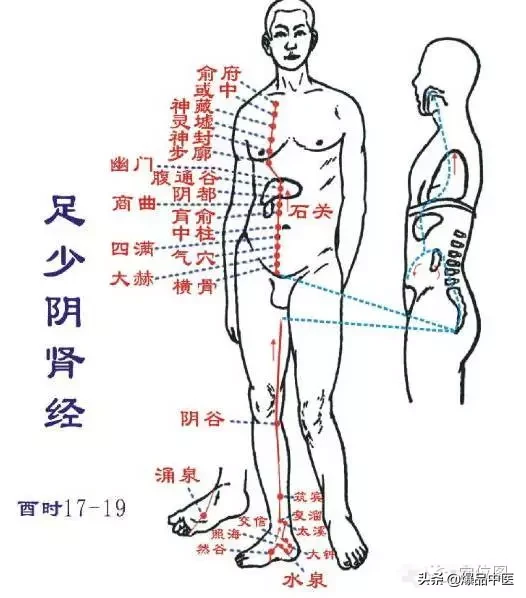 肾经大药房，详解肾经相关穴位--激活先天之本，何惧疾病衰老