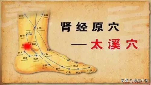 肾经大药房,详解肾经相关穴位--激活先天之本,何惧疾病衰老