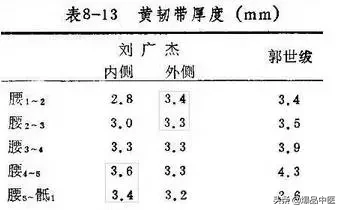 详细的脊柱腰段解剖图