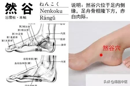 肾经大药房,详解肾经相关穴位--激活先天之本,何惧疾病衰老