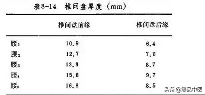 详细的脊柱腰段解剖图