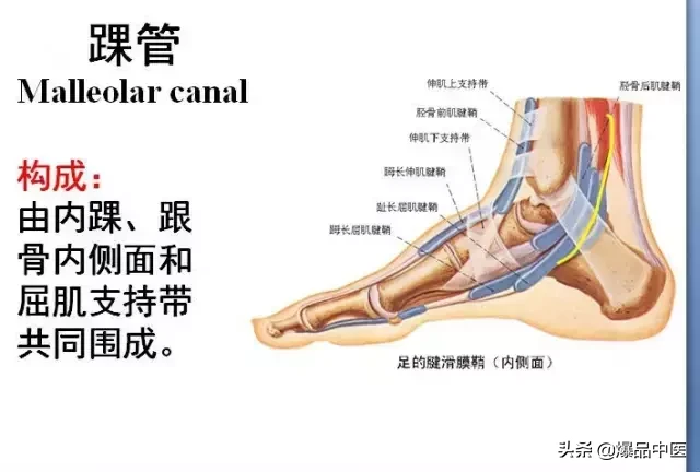 「专业分享」“从头到脚”的纯干货