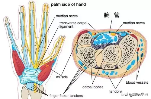 「专业分享」“从头到脚”的纯干货