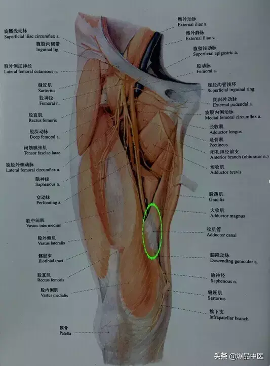 「专业分享」“从头到脚”的纯干货