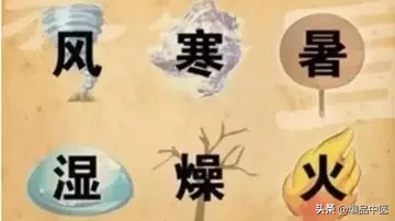 五运六气之六气浅析