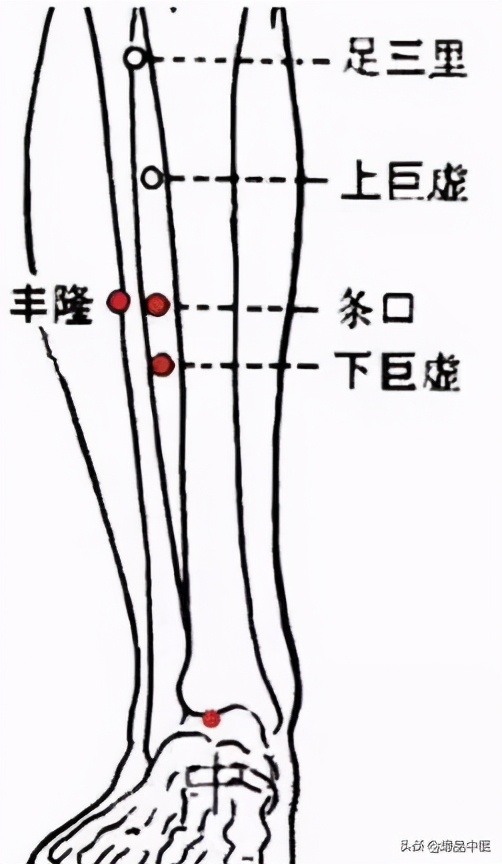 牢记全身疾病特效穴，专穴专用