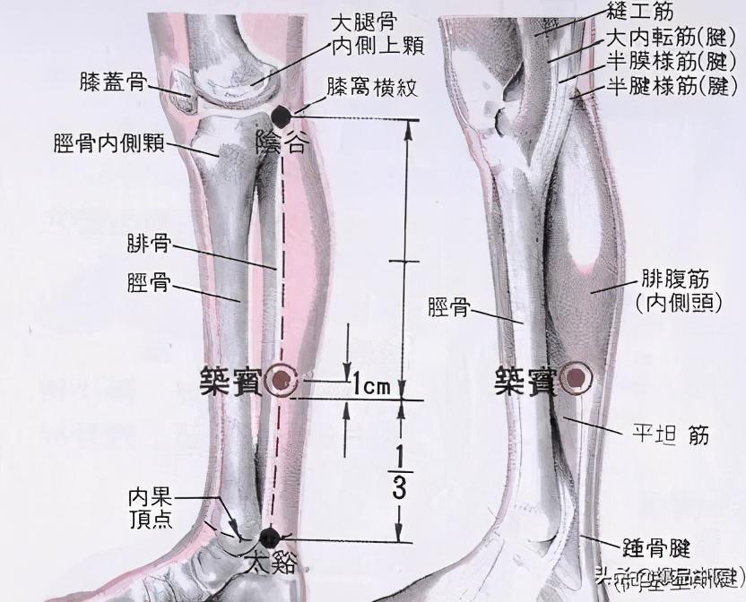 牢记全身疾病特效穴，专穴专用