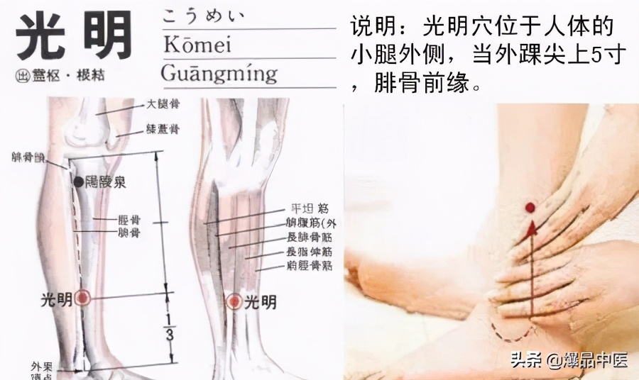 牢记全身疾病特效穴，专穴专用