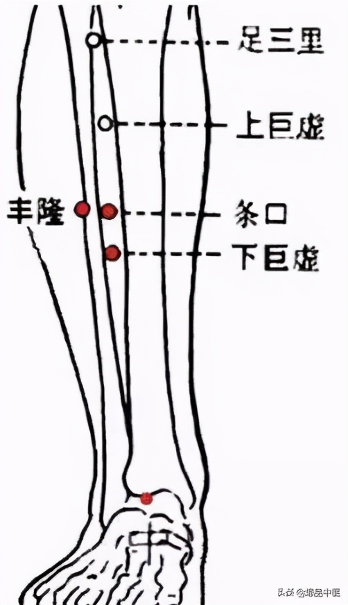 牢记全身疾病特效穴，专穴专用