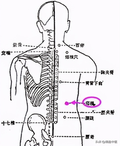 牢记全身疾病特效穴，专穴专用