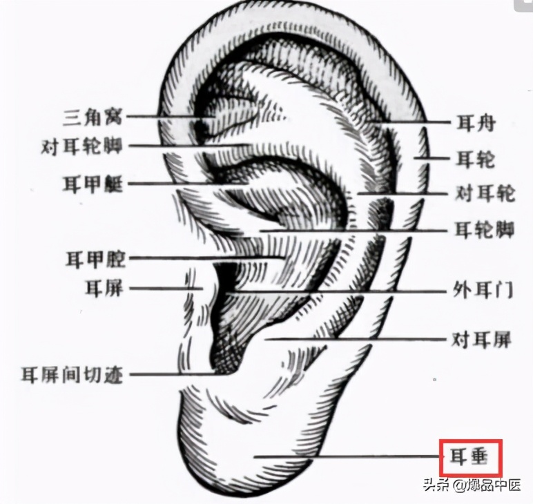 人体最神奇的一位地方，按一按，赶走各种病痛