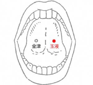玉液穴