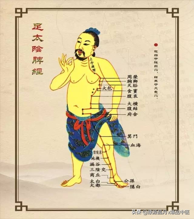 健脾不一定吃药，身体就自带“药房”